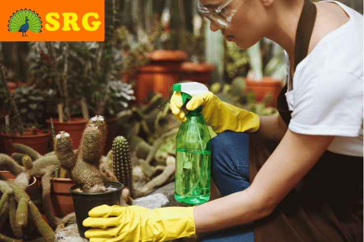 Eco Friendly Cleaning: The Future of Housekeeping Services