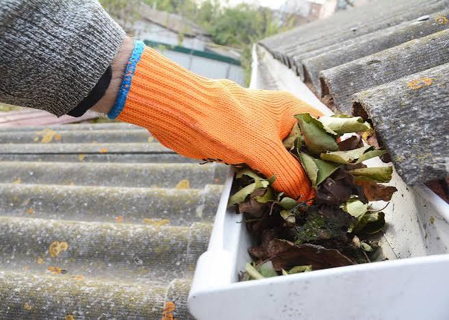 Best Ways to Clean Your Spring Garden and Rain Gutters